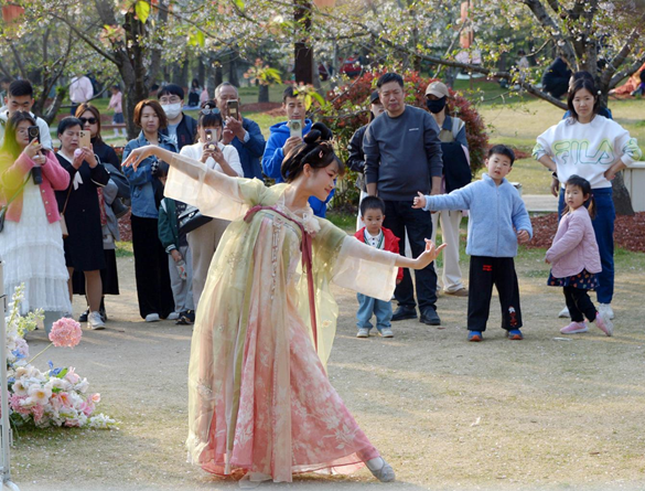 清明假期期間，上海顧村公園櫻花島上，游客在觀賞國風(fēng)漢服快閃表演。（圖片來源：視覺中國）